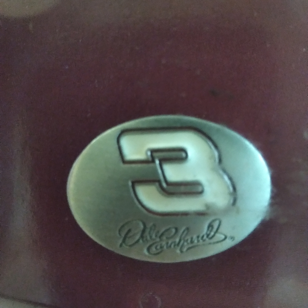 Dale Earnhardt pin
